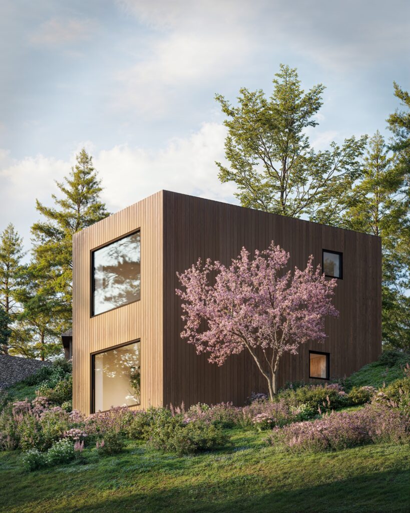 House image