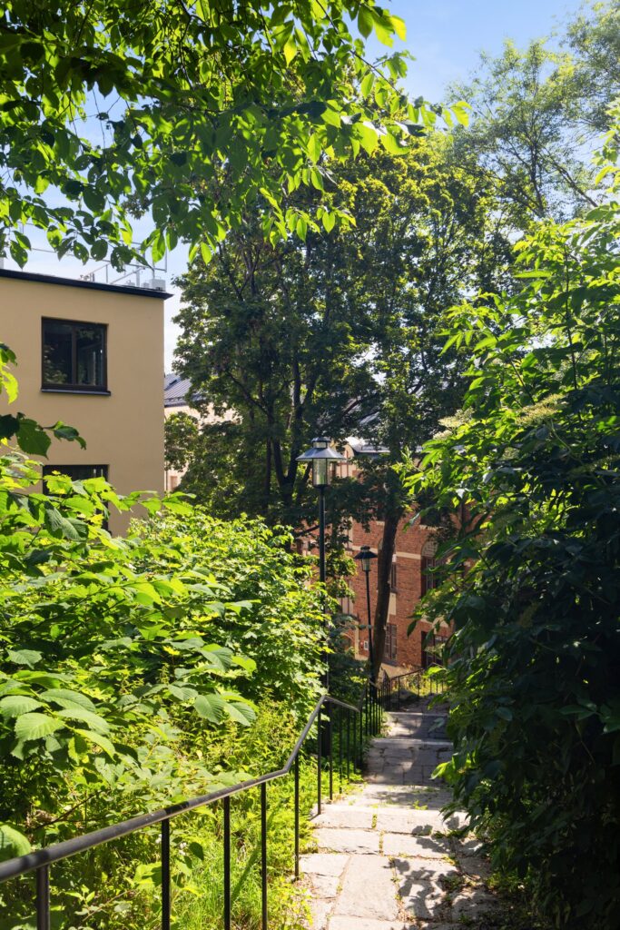 House image