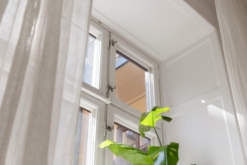 House image